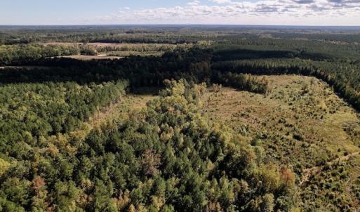 Photo #11 of SOLD property in Off Rowe Road, Warrenton, NC 15.0 acres