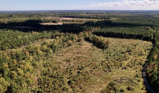 Photo #12 of SOLD property in Off Rowe Road, Warrenton, NC 15.0 acres