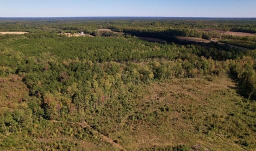 Photo #13 of SOLD property in Off Rowe Road, Warrenton, NC 15.0 acres