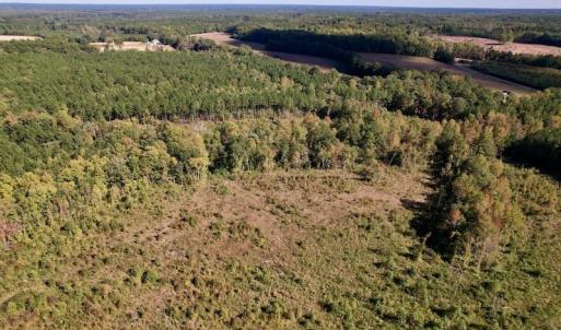 Photo #14 of SOLD property in Off Rowe Road, Warrenton, NC 15.0 acres