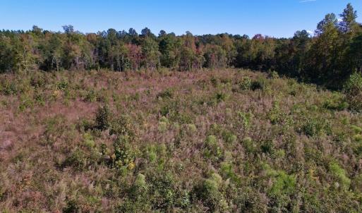 Photo #15 of SOLD property in Off Rowe Road, Warrenton, NC 15.0 acres