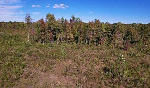 Photo #17 of SOLD property in Off Rowe Road, Warrenton, NC 15.0 acres