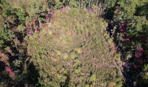 Photo #19 of SOLD property in Off Rowe Road, Warrenton, NC 15.0 acres