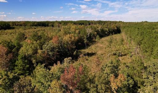 Photo #20 of SOLD property in Off Rowe Road, Warrenton, NC 15.0 acres