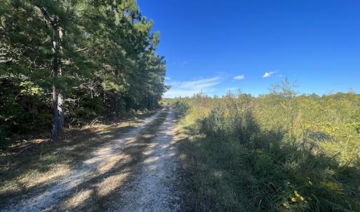 Photo #21 of SOLD property in Off Rowe Road, Warrenton, NC 15.0 acres
