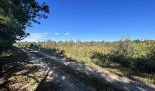 Photo #22 of SOLD property in Off Rowe Road, Warrenton, NC 15.0 acres