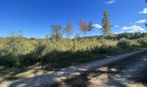 Photo #23 of SOLD property in Off Rowe Road, Warrenton, NC 15.0 acres