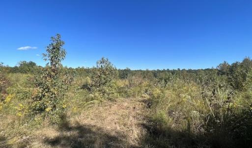 Photo #24 of SOLD property in Off Rowe Road, Warrenton, NC 15.0 acres