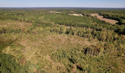 Photo #2 of SOLD property in Off Rowe Road, Warrenton, NC 15.0 acres