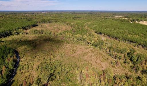 Photo #3 of SOLD property in Off Rowe Road, Warrenton, NC 15.0 acres