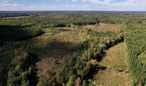Photo #5 of SOLD property in Off Rowe Road, Warrenton, NC 15.0 acres