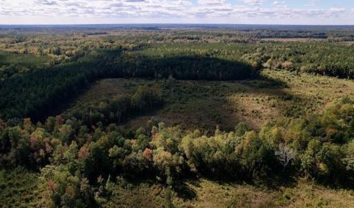 Photo #6 of SOLD property in Off Rowe Road, Warrenton, NC 15.0 acres