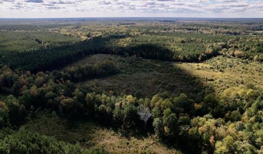 Photo #7 of SOLD property in Off Rowe Road, Warrenton, NC 15.0 acres