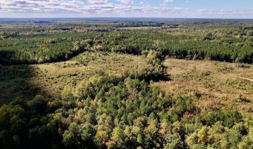 Photo #8 of SOLD property in Off Rowe Road, Warrenton, NC 15.0 acres