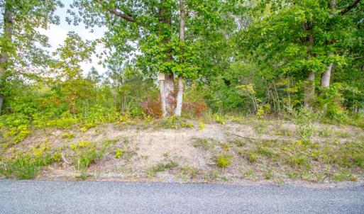 Photo #22 of SOLD property in Off Pocahontas Road, Freeman, VA 40.0 acres