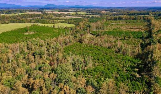 Photo #2 of SOLD property in Off Shared Lane, Bedford, VA 79.0 acres