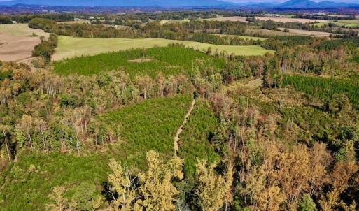 Photo #3 of SOLD property in Off Shared Lane, Bedford, VA 79.0 acres
