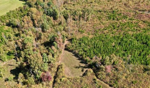 Photo #4 of SOLD property in Off Shared Lane, Bedford, VA 79.0 acres