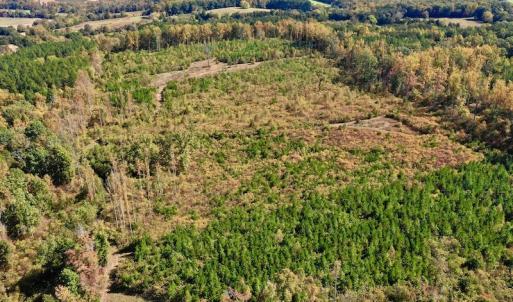 Photo #5 of SOLD property in Off Shared Lane, Bedford, VA 79.0 acres