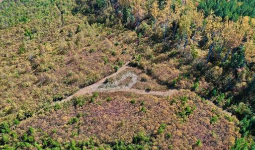 Photo #6 of SOLD property in Off Shared Lane, Bedford, VA 79.0 acres
