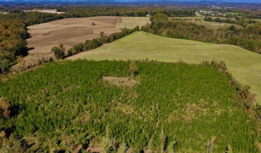 Photo #7 of SOLD property in Off Shared Lane, Bedford, VA 79.0 acres