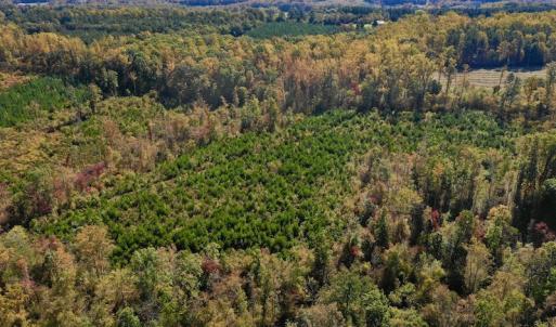 Photo #9 of SOLD property in Off Shared Lane, Bedford, VA 79.0 acres