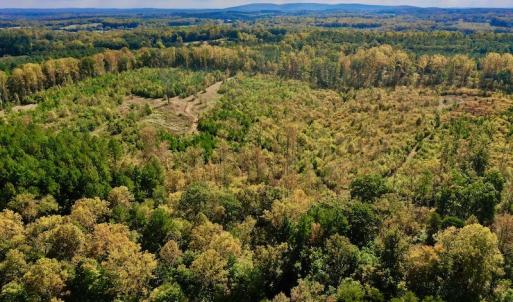 Photo #10 of SOLD property in Off Shared Lane, Bedford, VA 79.0 acres