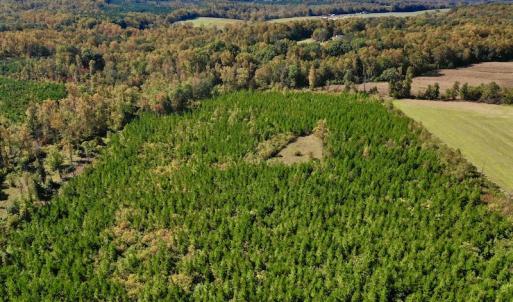 Photo #11 of SOLD property in Off Shared Lane, Bedford, VA 79.0 acres