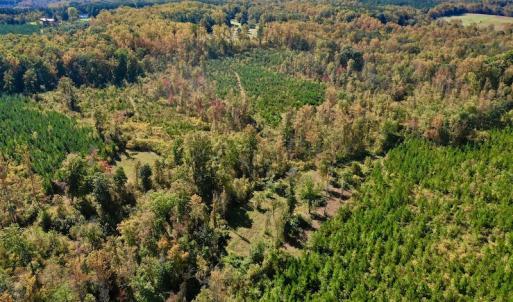 Photo #12 of SOLD property in Off Shared Lane, Bedford, VA 79.0 acres