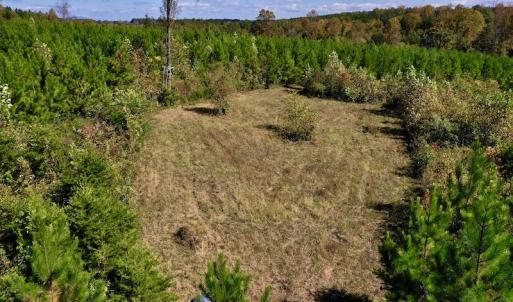 Photo #13 of SOLD property in Off Shared Lane, Bedford, VA 79.0 acres