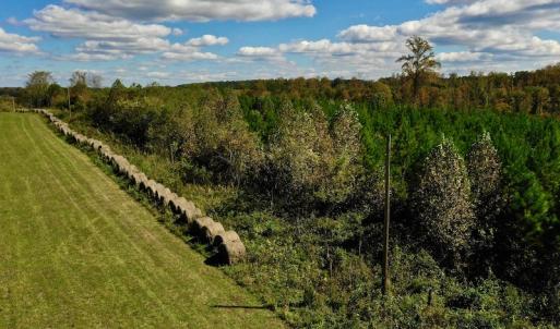 Photo #14 of SOLD property in Off Shared Lane, Bedford, VA 79.0 acres