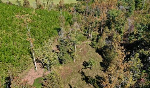 Photo #15 of SOLD property in Off Shared Lane, Bedford, VA 79.0 acres