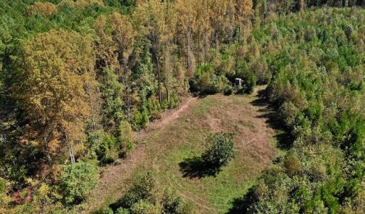 Photo #16 of SOLD property in Off Shared Lane, Bedford, VA 79.0 acres
