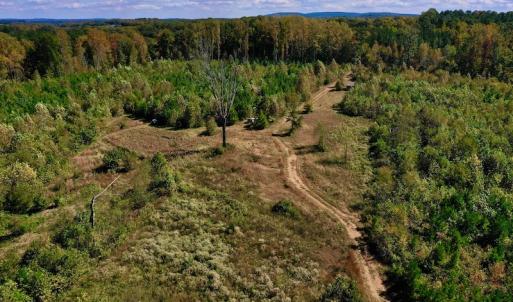 Photo #17 of SOLD property in Off Shared Lane, Bedford, VA 79.0 acres