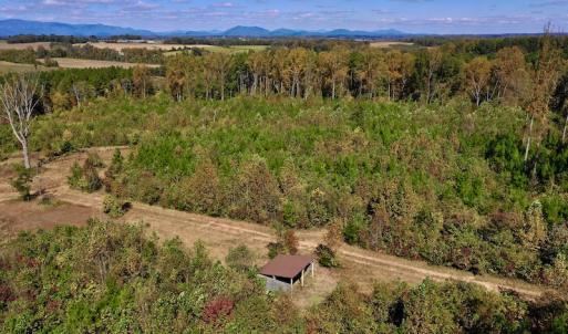 Photo #18 of SOLD property in Off Shared Lane, Bedford, VA 79.0 acres