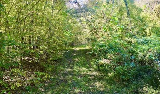 Photo #20 of SOLD property in Off Shared Lane, Bedford, VA 79.0 acres