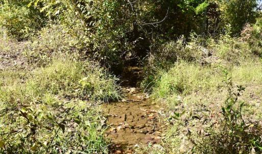Photo #21 of SOLD property in Off Shared Lane, Bedford, VA 79.0 acres