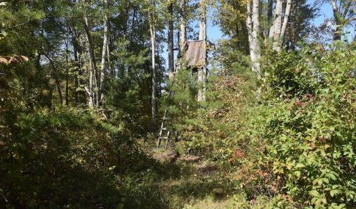 Photo #22 of SOLD property in Off Shared Lane, Bedford, VA 79.0 acres