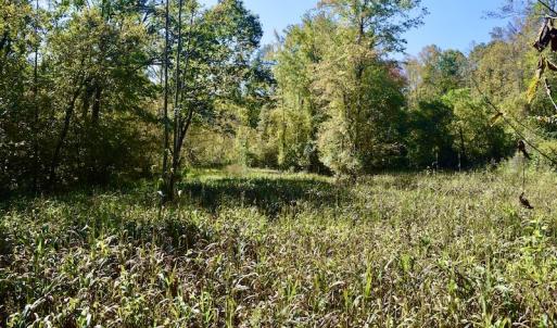 Photo #23 of SOLD property in Off Shared Lane, Bedford, VA 79.0 acres