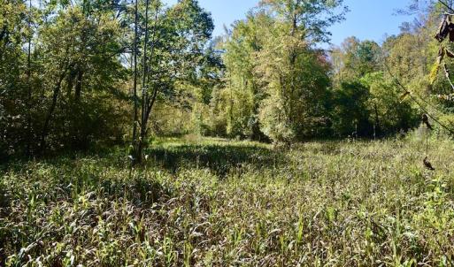 Photo #23 of SOLD property in Off Shared Lane, Bedford, VA 79.0 acres