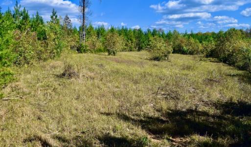 Photo #28 of SOLD property in Off Shared Lane, Bedford, VA 79.0 acres