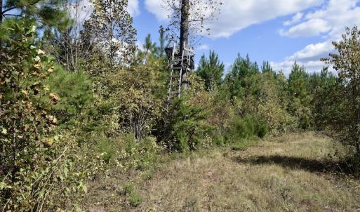 Photo #30 of SOLD property in Off Shared Lane, Bedford, VA 79.0 acres