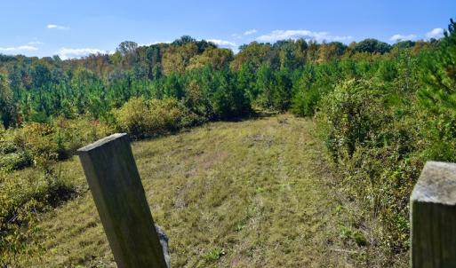 Photo #31 of SOLD property in Off Shared Lane, Bedford, VA 79.0 acres