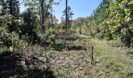 Photo #32 of SOLD property in Off Shared Lane, Bedford, VA 79.0 acres