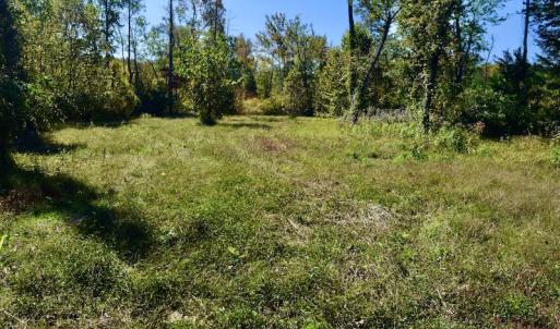 Photo #33 of SOLD property in Off Shared Lane, Bedford, VA 79.0 acres