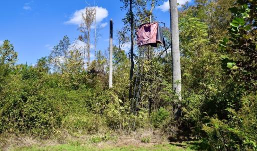 Photo #35 of SOLD property in Off Shared Lane, Bedford, VA 79.0 acres