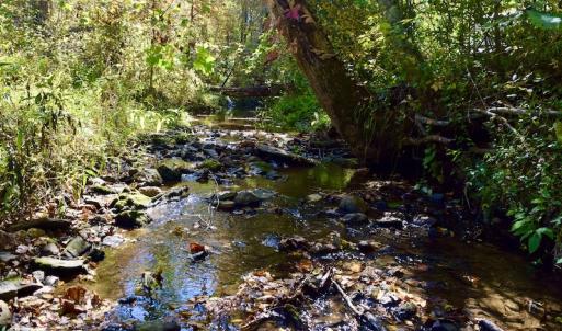 Photo #36 of SOLD property in Off Shared Lane, Bedford, VA 79.0 acres