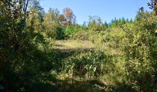 Photo #37 of SOLD property in Off Shared Lane, Bedford, VA 79.0 acres