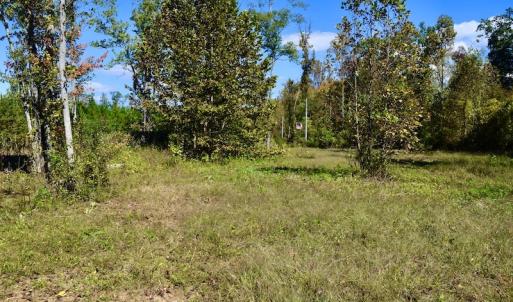 Photo #38 of SOLD property in Off Shared Lane, Bedford, VA 79.0 acres