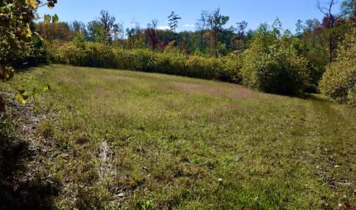 Photo #39 of SOLD property in Off Shared Lane, Bedford, VA 79.0 acres